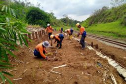 KAI Purwokerto lakukan penanaman akar wangi antisipasi cuaca ekstrem