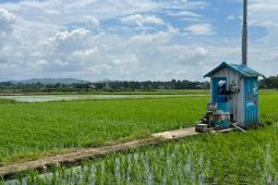 Sektor pertanian sumbang 22 persen pertumbuhan ekonomi Sulsel