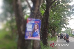 Bawaslu Kaltim komitmen tertibkan alat kampanye di pohon dan tiang listrik