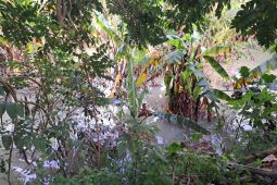 Penimbunan Kali Mati, Perumahan Vila Viyata Yudha terancam banjir