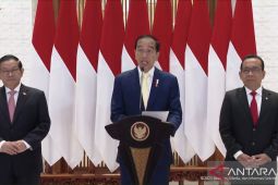 Jokowi undang Jepang investasi lumbung pangan di IKN