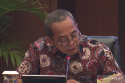 Kemenkeu: 59,5 juta NIK dipadankan jadi NPWP