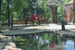Solo Safari persilakan areanya digunakan untuk prewedding
