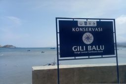Gubernur NTB: Gili Balu jadi destinasi unggulan Sumbawa Barat