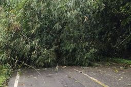 Dua warga Agam tertimbun longsor saat gotong royong bersihkan saluran irigasi satu meninggal