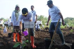 Perhutani Divre Jatim tanam 15,3 juta bibit pohon