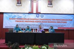 Safriati Safrizal ajak TP PKK kompak implementasikan 10 program pokok di Babel