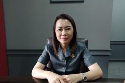 Ketua Fraksi PDI Perjuangan DPRD Belitung nilai Dinkes belum efektif tangani DBD