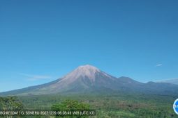 Gunung Semeru di Lumajang erupsi skala kecil