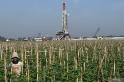 Sektor hulu migas penting dalam transisi energi