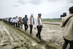 Tingkatkan produktifitas, Mentan lakukan percepatan tanam padi di Trimurjo