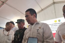 Mentan bantah tudingan tanaman jagung pada food estate gunakan polybag sebagai media tanam