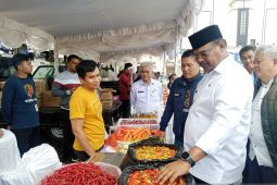 Pj Gubernur Babel tinjau pasar murah di Belitung