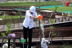 Jokowi groundbreaking tahap 3 IKN