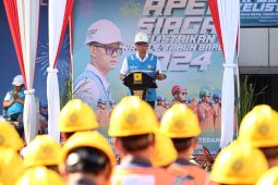 PLN Kalselteng pastikan keandalan listrik saat Natal dan tahun baru