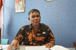 Penumpang mudik Natal dari Pelabuhan Jayapura capai 3.400 orang