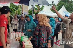 Pj Wali Kota: Harga cabai di Pangkalpinang turun drastis