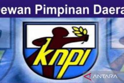 KNPI Sumut: Sumpah Pemuda momentum perkuat  persatuan generasi bangsa