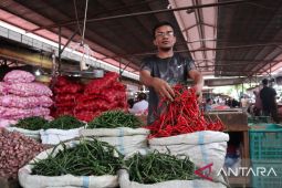 Pasokan melimpah, Harga cabai merah di pasar Lambaro turun jadi Rp25 ribu per kg