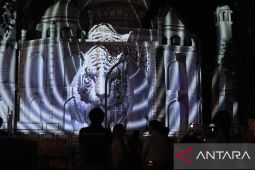 Taman Safari tampilkan "Malam Bercahaya" selama Natal dan Tahun Baru