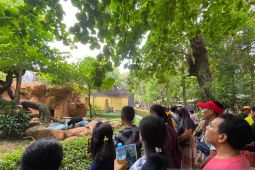 27 ribu wisatawan kunjungi KBS saat momen Natal 2023