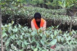 BRGM dukung cetak generasi unggul melalui magang bersertifikat "Sobat Muda Gambut -- Mangrove" 2023