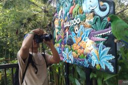 Bali Zoo catat pengunjung hingga 2.500 per hari