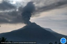 Warga Flores Timur NTT diimbau hindari potensi gas beracun gunung api