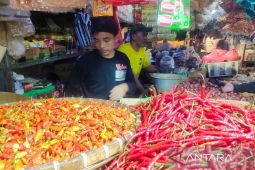 Harga cabai di pasar Cianjur masih tinggi karena panen minim