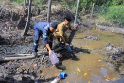 PT Timah berdayakan masyarakat lewat program budidaya dan pertanian