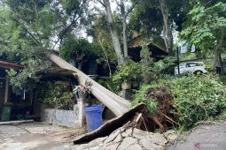 BPBD Jabar catat 75 bangunan rusak akibat angin puting beliung di Bandung