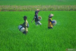 BPS catat NTUP pada Desember 2023 naik 1,17 persen