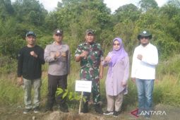 FKPD-Pemkab Mukomuko tanam pohon cegah perubahan iklim