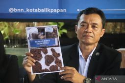 Mariyuana jadi kasus menonjol di BNNK Balikpapan dalam satu warsa