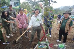 Menteri KLHK tanam pohon di TSI Bogor