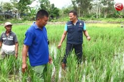 Anggota DPRD Seruyan berharap program pemda bisa terealisasi