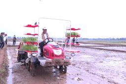 Mentan lakukan percepatan tanam padi untuk tingkatkan produktivitas