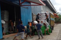 Awal 2024 stok beras di Kapuas Hulu Kalbar cukup untuk tiga bulan ke depan