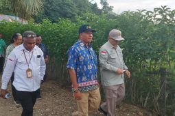 Pemerintah Papua Barat Daya perkuat ketahanan pangan