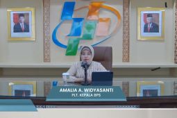 BPS catat pertumbuhan sektor transportasi pada Januari - November