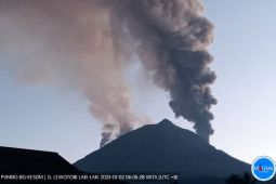 1.172 warga di Wulanggitang Flores Timur terdampak erupsi