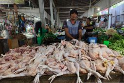 BPS Kalbar catat inflasi pada 2023 sebesar 2,02 persen