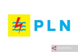 Pemerintah tetapkan diskon 50 persen tarif listrik untuk dua bulan