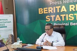 BPS: Bengkulu perlu kelola beras daerah guna cegah inflasi 2024
