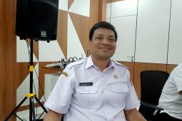 Sepanjang 2023, Dishut Maluku rehabilitasi 300 hektare lahan kritis