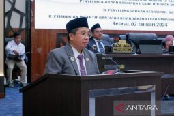 Pemkot Banjarmasin setuju dibuat aturan pemberian insentif bagi investor