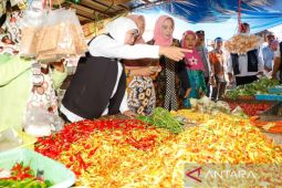 Nilai tukar petani Jatim tercatat 116,05