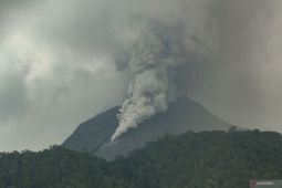 PVMBG: Dalam enam jam Gunung Lewotobi erupsi 12 kali