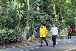 Pertemuan Jokowi dan Airlangga di tengah rasa nyaman dengan Golkar