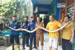 BPBD Tangerang imbau masyarakat  waspadai kemunculan ular saat musim hujan